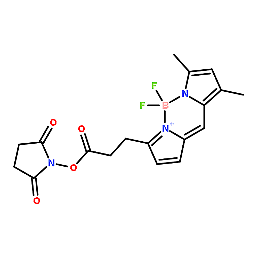 RHAWN BDP FL NHS Ester