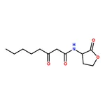 RHAWN N-(3-Oxooctanoyl)-L-homoserine lactone