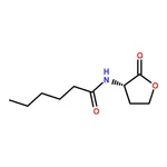 RHAWN N-Hexanoyl-L-homoserine lactone