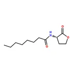 RHAWN N-Octanoyl-L-homoserine lactone