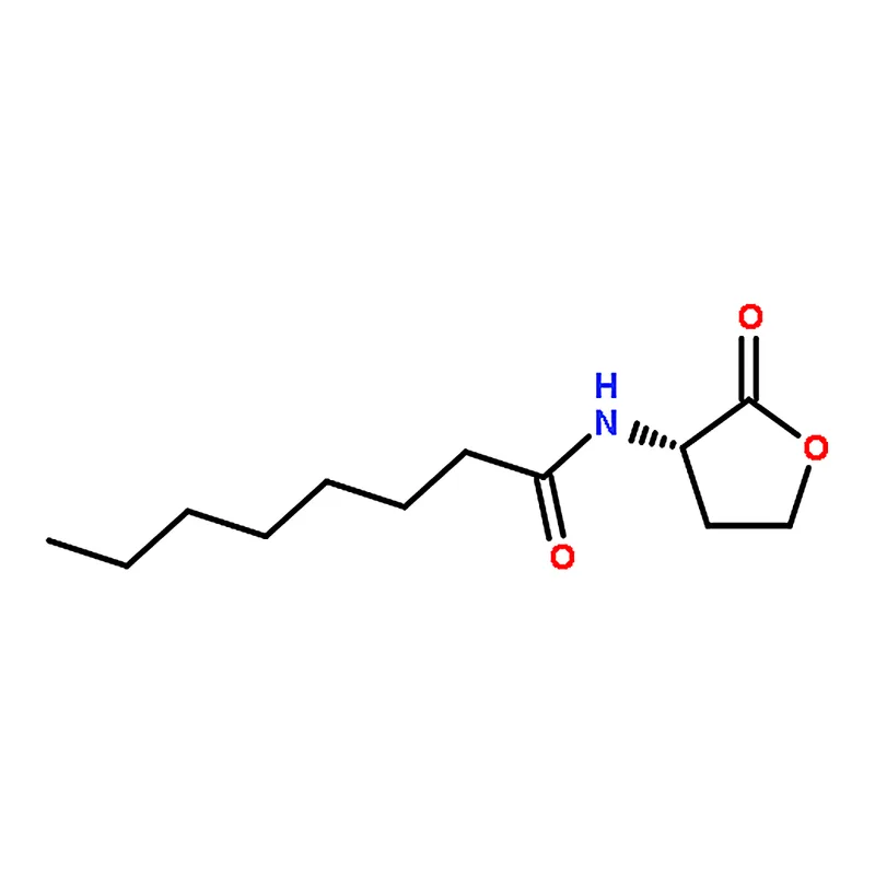 RHAWN N-Octanoyl-L-homoserine lactone