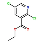 RHAWN Ethyl 2,5-dichloronicotinate