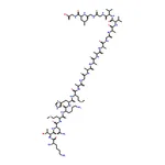 RHAWN Prion Protein Fragment 106-126 Human