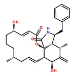 RHAWN Cytochalasin B