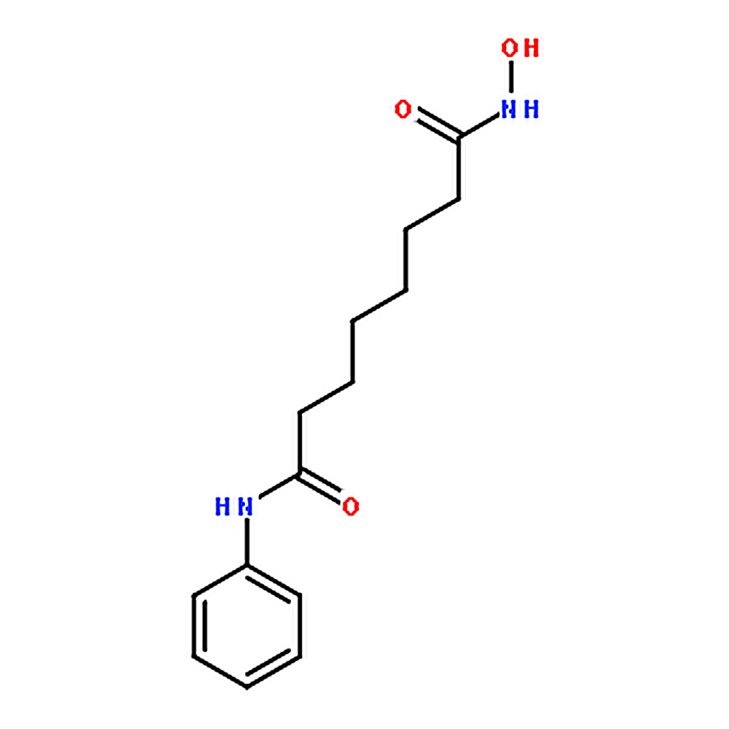RHAWN vorinostat