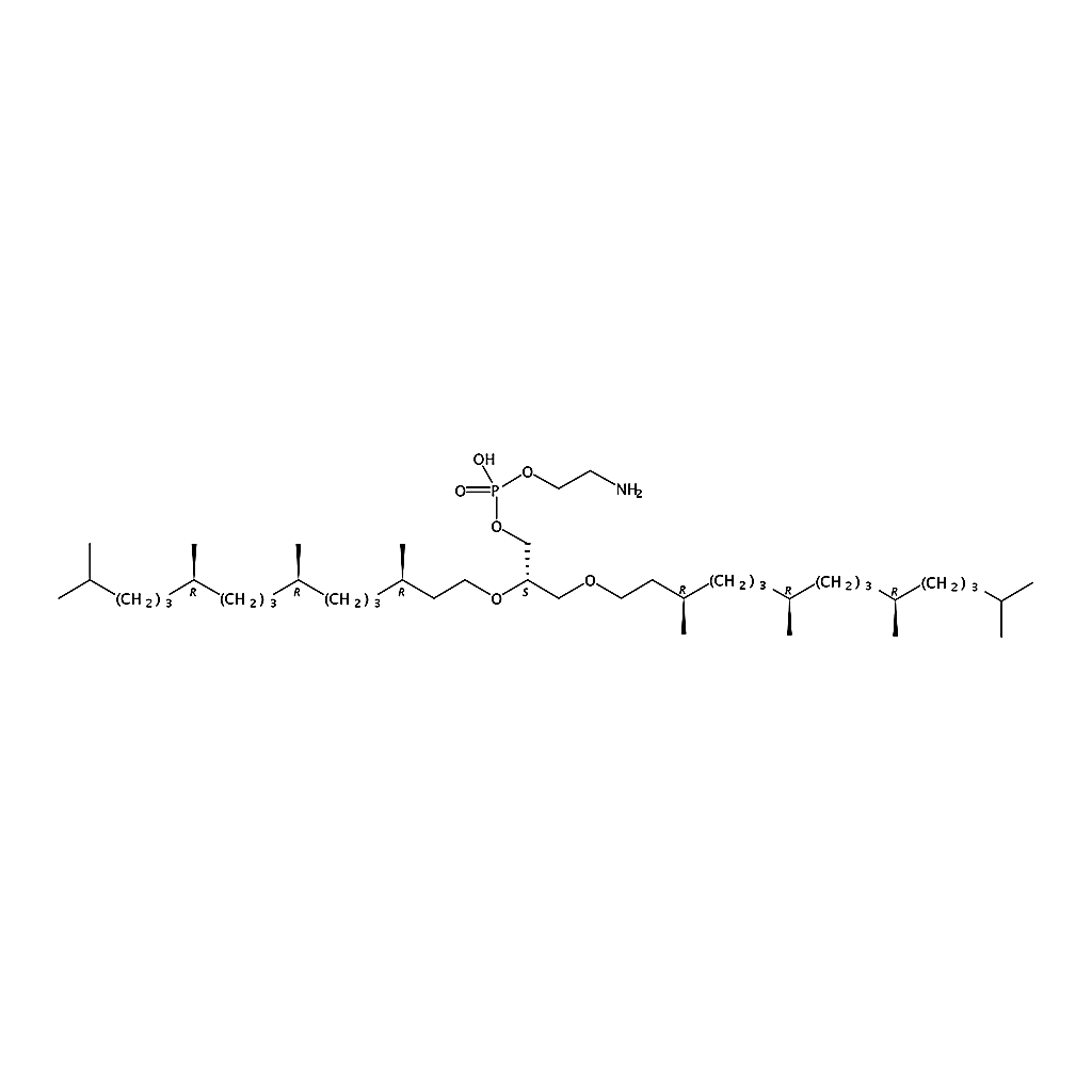 RHAWN 1,2-di-O-phytanyl-sn-glycero-3-phosphoethanolamine