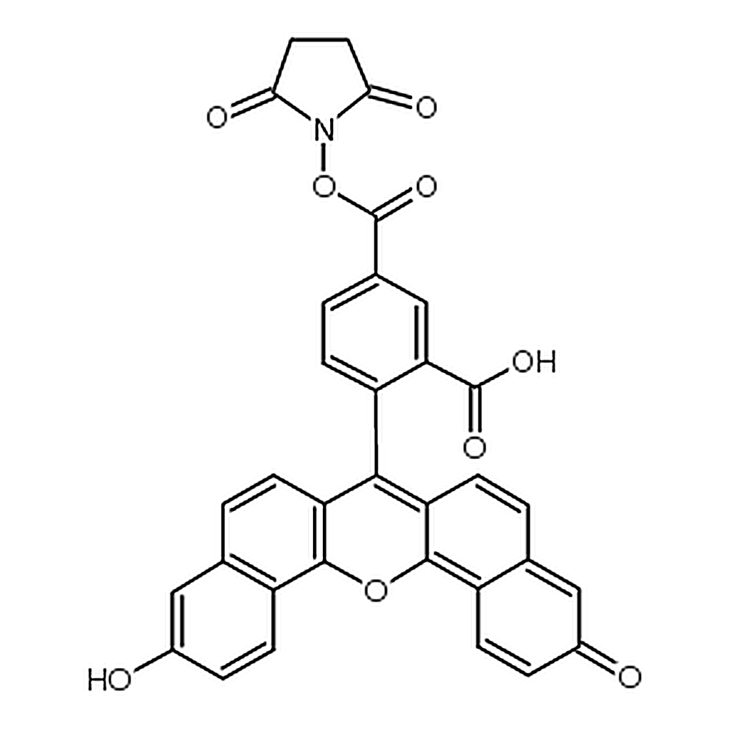 RHAWN 5(6)-Carboxynaphthofluorescein N-Succinimidyl ester