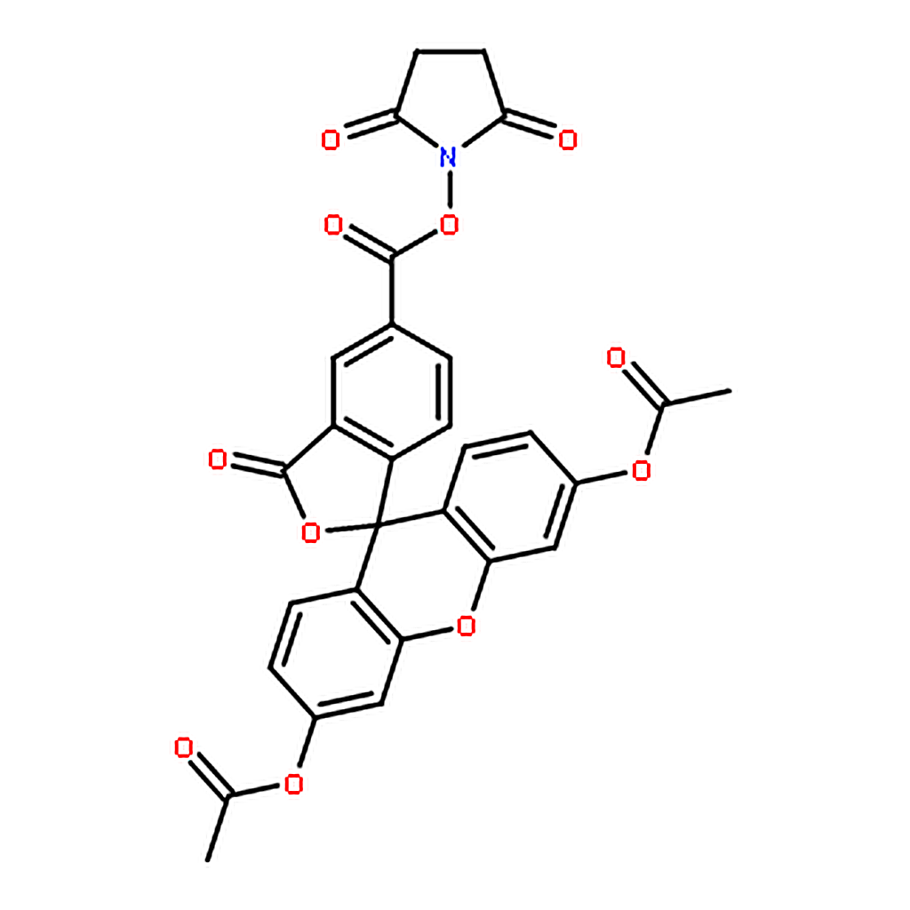 RHAWN 5(6)-Carboxyfluorescein diacetate, succinimidyl ester（CFDA）
