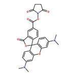 RHAWN NHS-5(6)Carboxyrhodamine