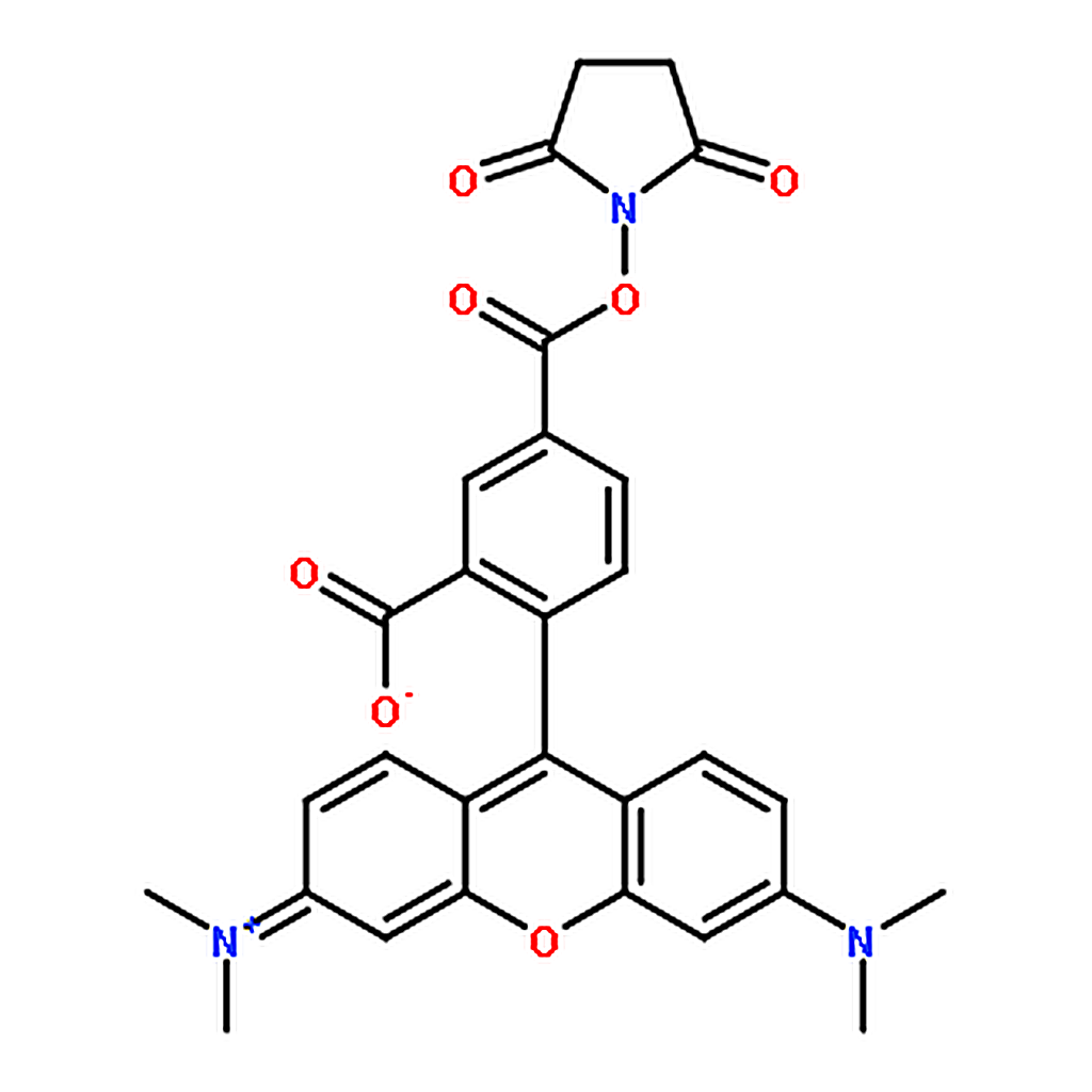 RHAWN 5-Carboxy-tetramethylrhodamineN-succinimidylester