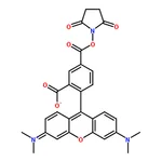 RHAWN 5-Carboxy-tetramethylrhodamineN-succinimidylester