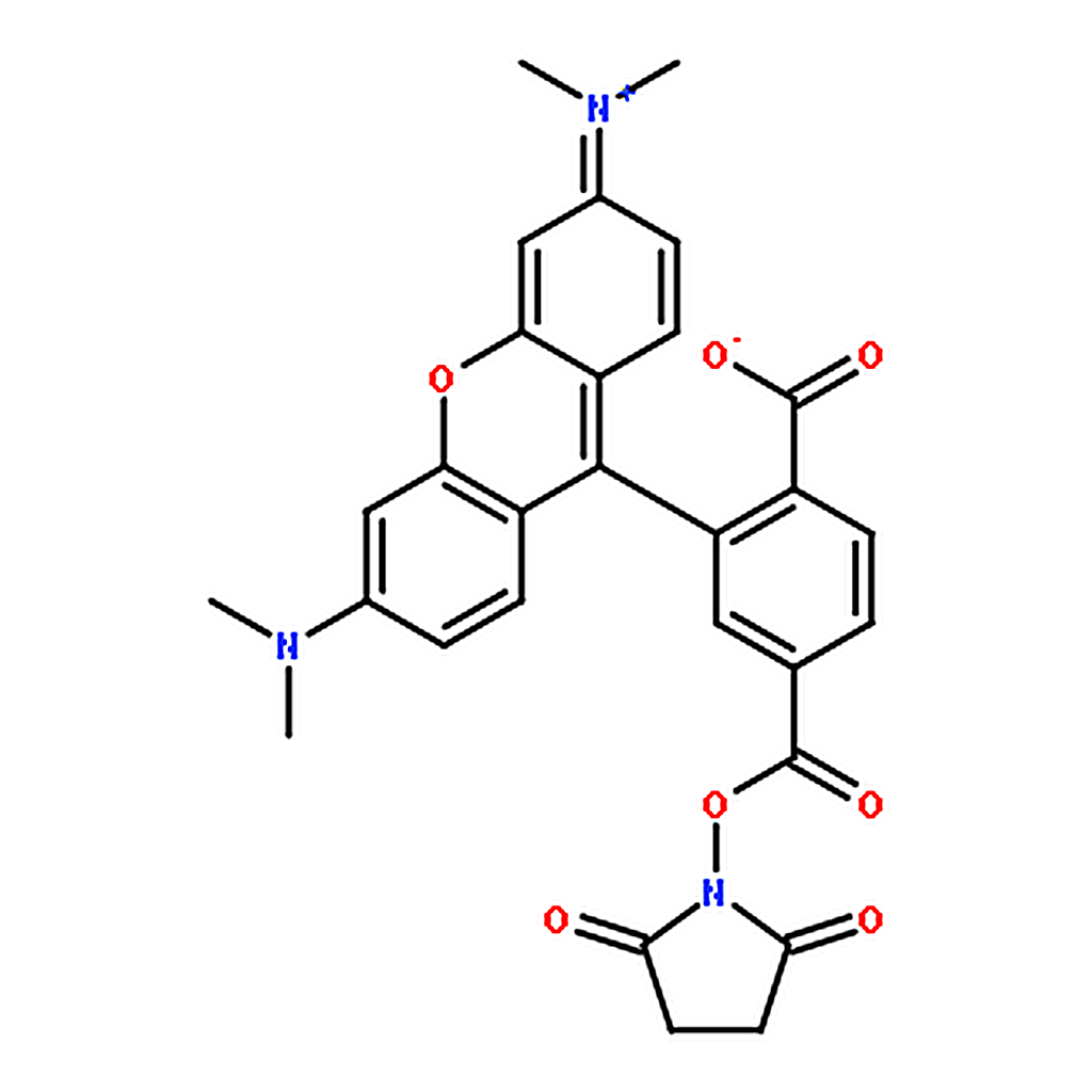RHAWN 6-Carboxy-tetramethylrhodamine N-succinimidyl ester
