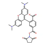 RHAWN 6-Carboxy-tetramethylrhodamine N-succinimidyl ester