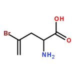 RHAWN (S)-2-Amino-4-bromopent-4-enoic acid