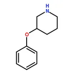 RHAWN 3-PHENOXYPIPERIDINE