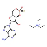 RHAWN cAMPS-Rp, triethylammonium salt