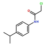 RHAWN 2-Chloro-N-(4-isopropylphenyl)acetamide