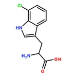 RHAWN 2-Amino-3-(7-chloro-1H-indol-3-yl)propanoic acid