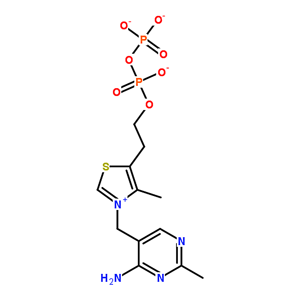 RHAWN Thiamine pyrophosphate