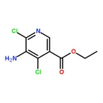 RHAWN Ethyl 5-amino-4,6-dichloronicotinate