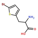 RHAWN (S)-2-Amino-3-(5-bromothiophen-2-yl)propanoic acid