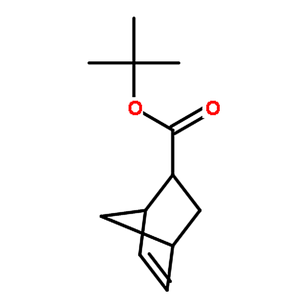 RHAWN tert-Butyl Bicyclo[2.2.1]-5-heptene-2-carboxylate