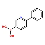 RHAWN 6-Phenylpyridine-3-boronic acid