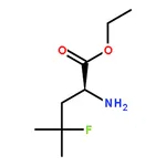 RHAWN (S)-Ethyl 2-amino-4-fluoro-4-methylpentanoate
