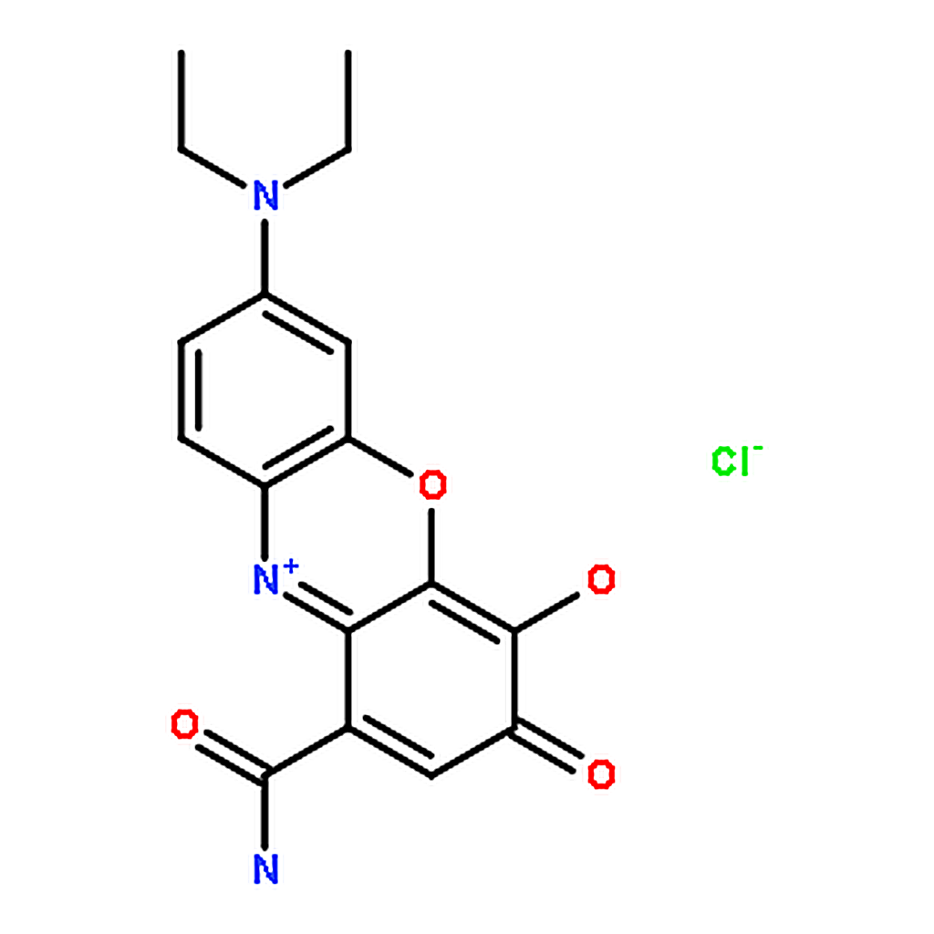 RHAWN Celestine blue