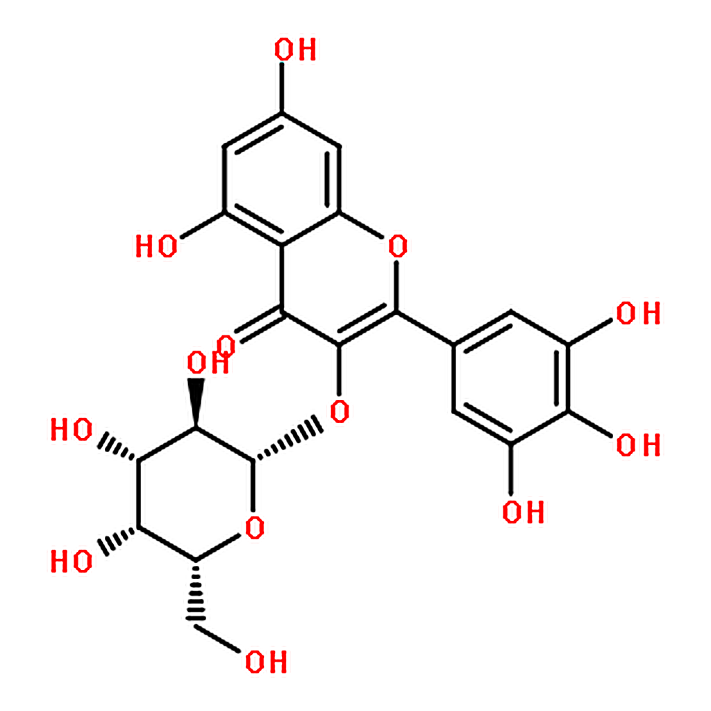 RHAWN Myricetin 3-O-galactoside