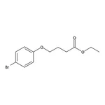 RHAWN Ethyl 4-(4-bromophenoxy)butanoate