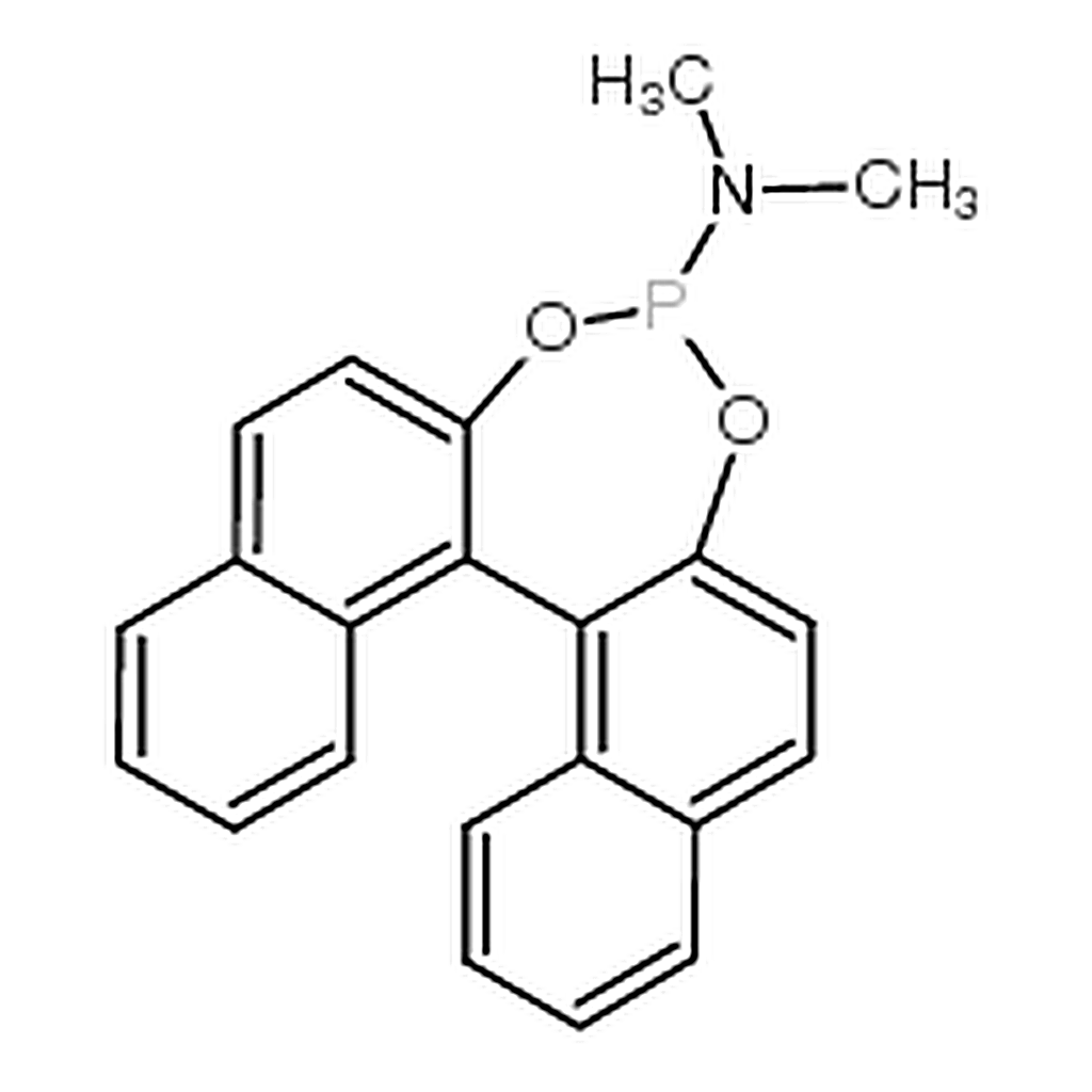 RHAWN (11bR)-N，N-Dimethyl-dinaphtho[2，1-d:1'，2'-f][1，3，2]dioxaphosphepin-4-amine