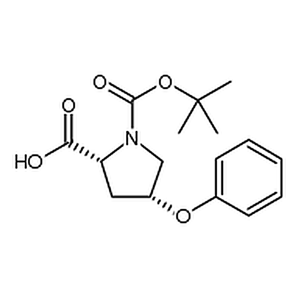 RHAWN (2R,4R)-1-(tert-Butoxycarbonyl)-4-phenoxypyrrolidine-2-carboxylic acid