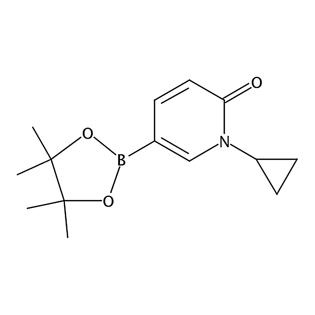 RHAWN 1-Cyclopropyl-6-oxo-1,6-dihydropyridine-3-boronic Acid Pinacol Ester