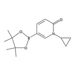 RHAWN 1-Cyclopropyl-6-oxo-1,6-dihydropyridine-3-boronic Acid Pinacol Ester