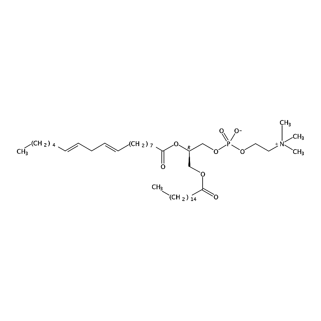 RHAWN 1-palmitoyl-2-linoleoyl-sn-glycero-3-phosphocholine