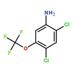 RHAWN 2,4-Dichloro-5-(trifluoromethoxy)aniline