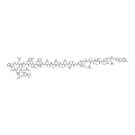 RHAWN Adrenomedullin Fragment 22-52 human