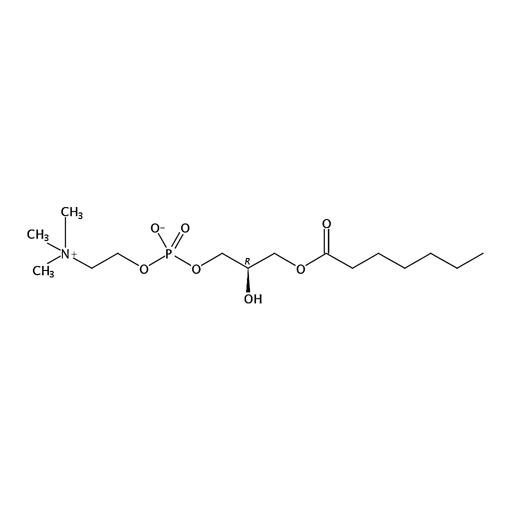 RHAWN 1-heptanoyl-2-hydroxy-sn-glycero-3-phosphocholine