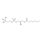 RHAWN 1-heptanoyl-2-hydroxy-sn-glycero-3-phosphocholine