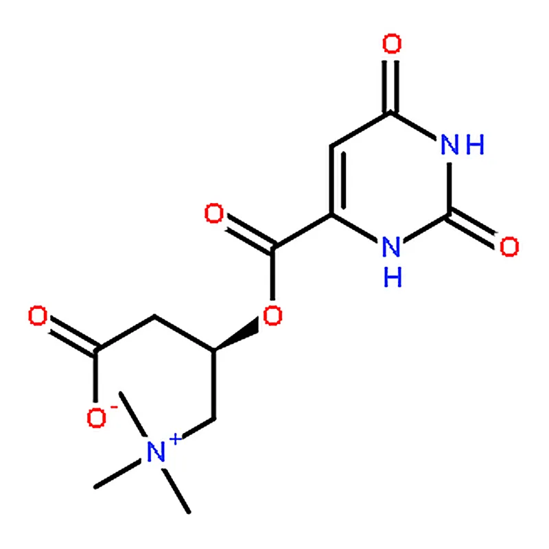 RHAWN L-Carnitine Orotate
