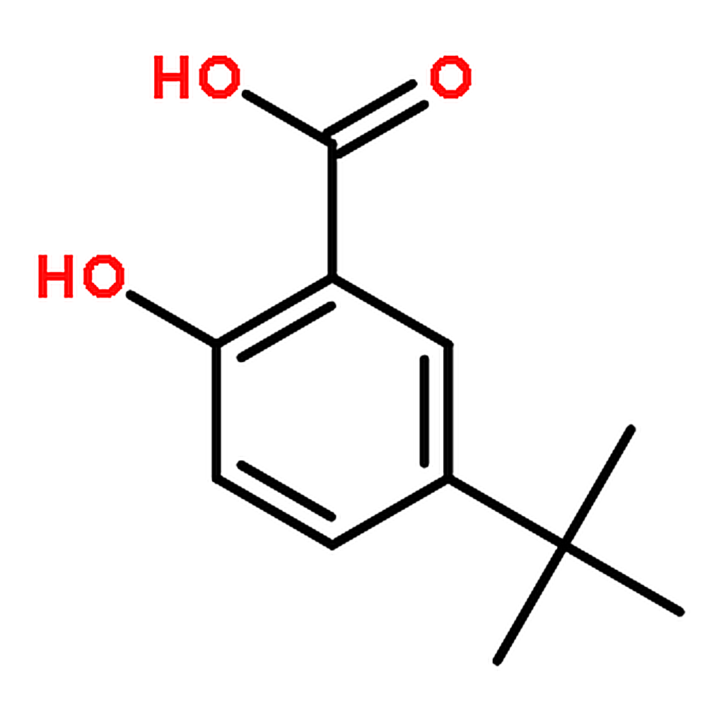 RHAWN 5-tert-Butyl-2-hydroxybenzoic Acid