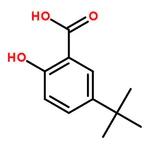 RHAWN 5-tert-Butyl-2-hydroxybenzoic Acid