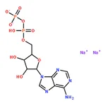 RHAWN Adenosine 5'-diphosphate disodium salt