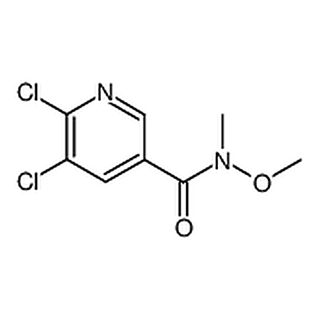 RHAWN 5,6-Dichloro-N-methoxy-N-methylpyridine-3-carboxamide
