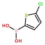 RHAWN 5-Chlorothiophene-2-boronic acid