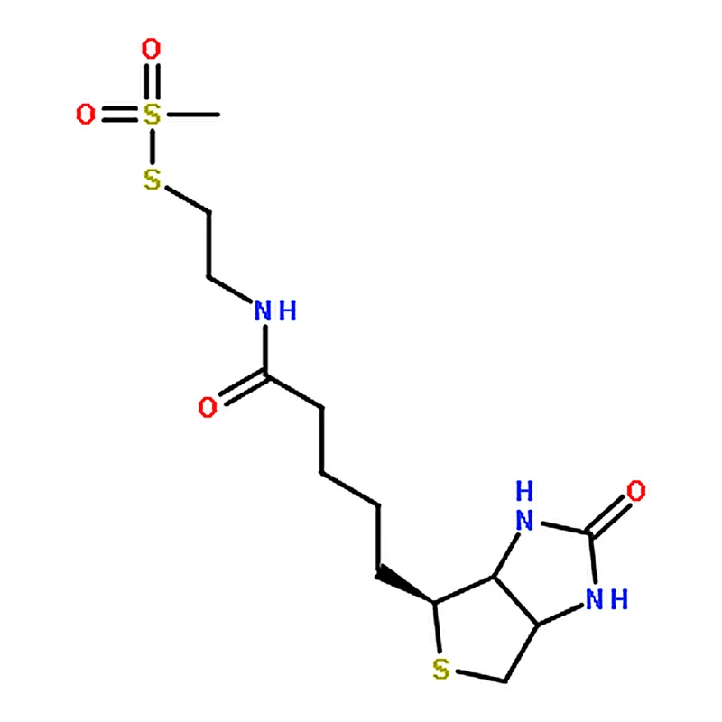 RHAWN N-Biotinylaminoethyl Methanethiosulfonate