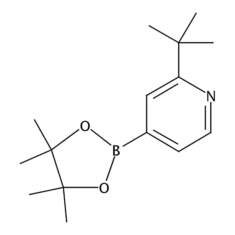 RHAWN 2-(Tert-Butyl)-4-(4,4,5,5-tetramethyl-1,3,2-dioxaborolan-2-yl)pyridine
