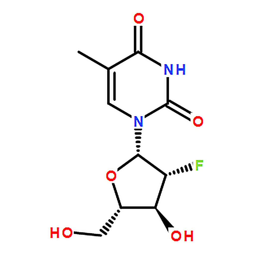 RHAWN Clevudine