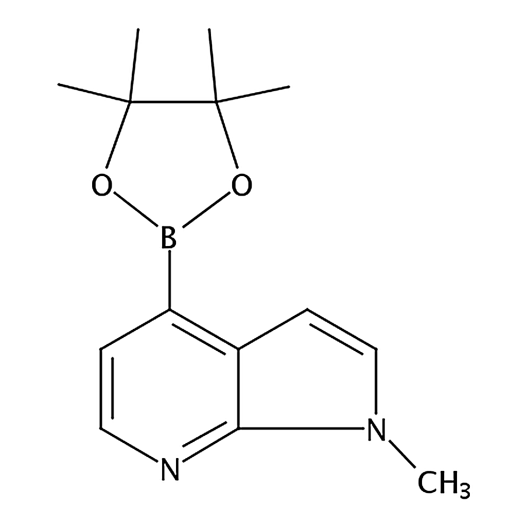 RHAWN 1-Methyl-4-(tetramethyl-1，3，2-dioxaborolan-2-yl)-1H-pyrrolo[2，3-b]pyridine